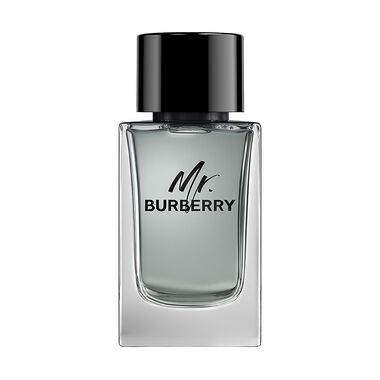 burberry mr. burberry eau de toilette